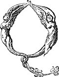 Initial Leter Q From Mitelli’s Alphabet