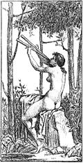 Charmeuse D'Oiseaux