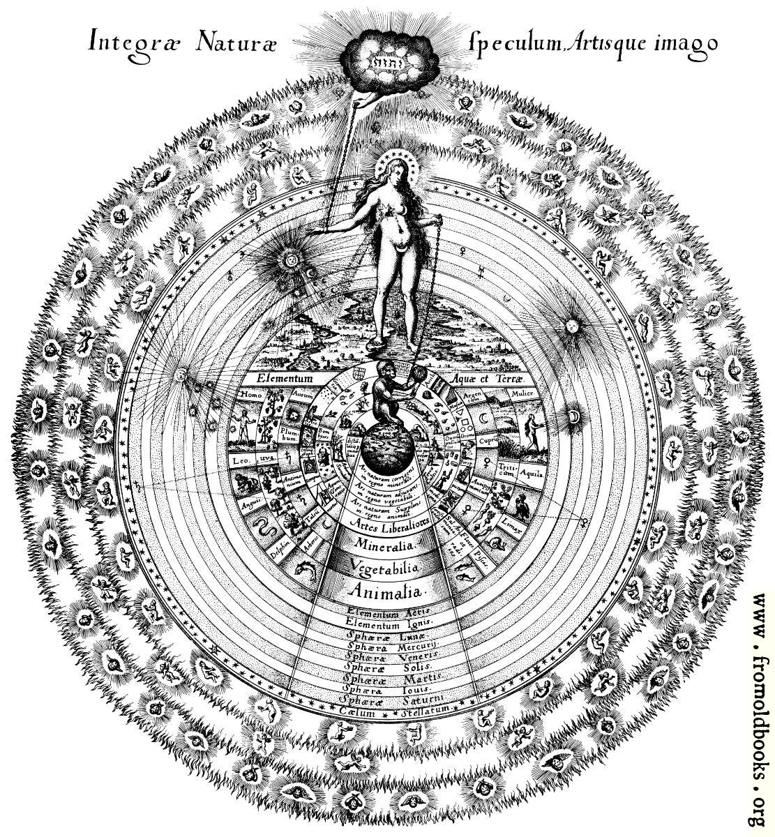 download die agrammatischen sprachstörungen studien zur psychologischen grundlegung der aphasielehre