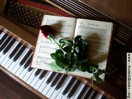 cimg5129-rose-on-music-book-on-piano-q85-500x375.jpg