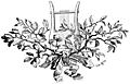 [Picture: Tailpiece ornament - Harp with oak leaves and mistletoe]