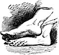 [Picture: Bare Feet of God, from p. 69]