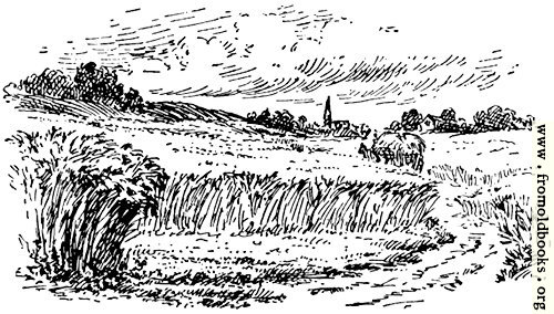 [Picture: The field, from p. 69]