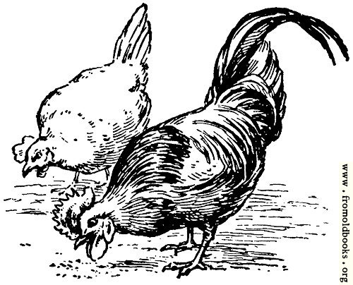 [Picture: Fowl of the air, from p. 69]