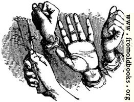 [picture: Hands from p. 69]