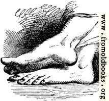 [picture: Bare Feet of God, from p. 69]