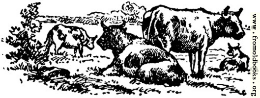 [picture: Oxen, from p. 69]