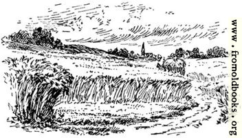 [picture: The field, from p. 69]