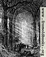 In the Forest Cathedral