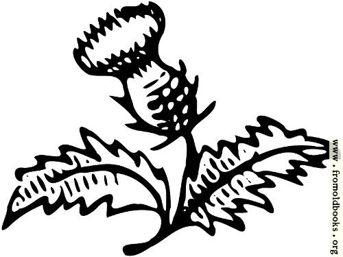 [Picture: Thistle Ornament]