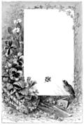 Full-page border with bird, flowers, ivy