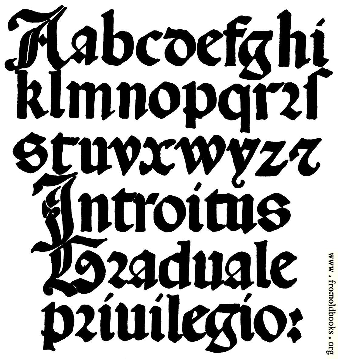 [Picture: 141.—Italian Round Gothic Small Letters.  16th Century.]