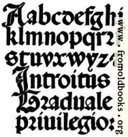 141.—Italian Round Gothic Small Letters.  16th Century.