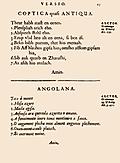 [Picture: 25: Coptica quasi Antiqua; Angolana]