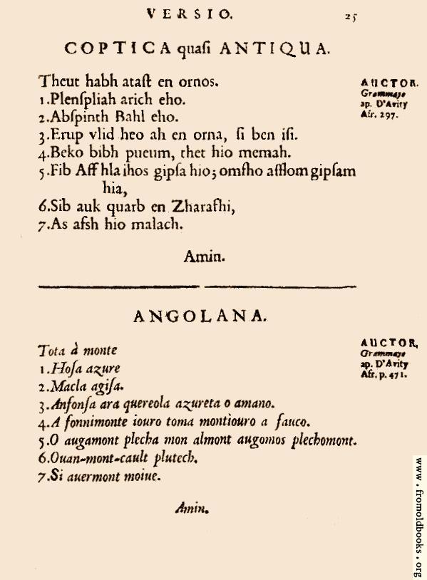 [Picture: 25: Coptica quasi Antiqua; Angolana]