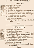 [Picture: 34: Gallica, Italica]