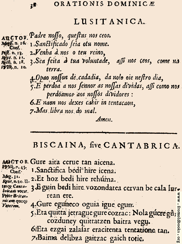 [Picture: 38: Lusitanica; Biscaina, sive Canabrica]