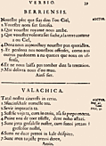 [Picture: 39: Berriensis, Valachica]