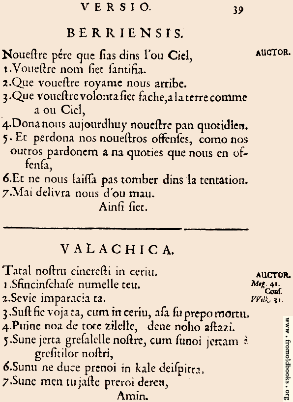 [Picture: 39: Berriensis, Valachica]