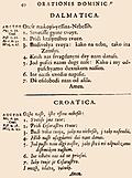 [Picture: 40: Dalmatica, Croatica]