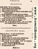 49: Belgica, Saxonica