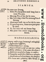 [picture: 32: Siamica, Madagascarica]