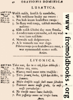 [picture: 42: Lusatica, Livonica]