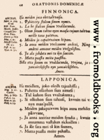 [picture: 44: Finnonica, Lapponica]