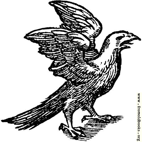 [Picture: 68b.—Printer’s Mark Detail: feathered eagle]