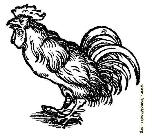 [Picture: 68b.—Printer’s Mark Detail: Cockerel]