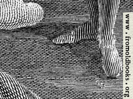 Engraving detail: stripy feet