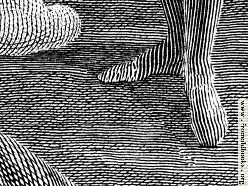 [Picture: Engraving detail: stripy feet]