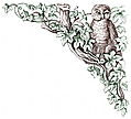 [Picture: Corner decoration: brown owl with green leaves and tree]