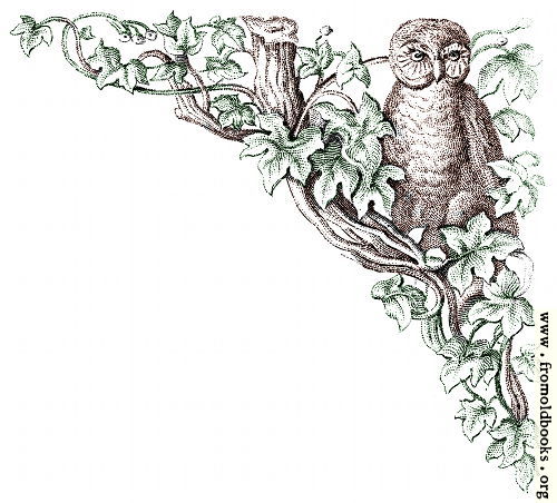 [Picture: Corner decoration: brown owl with green leaves and tree]