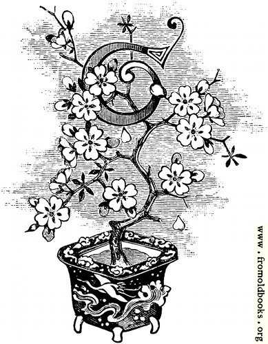 [Picture: Initial letter “t” as flower in a pot]