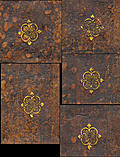 [Picture: Hoy Court leather-bound spine gold decorations]