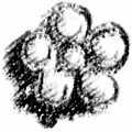 [Picture: Typographical ornament or printer’s flower]