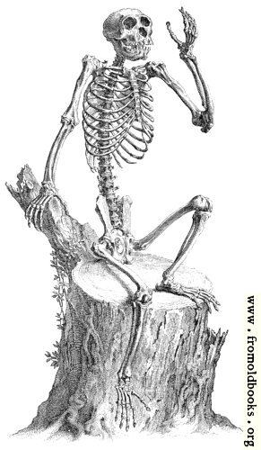 [Picture: Skeleton sitting on a tree stump and waving, from 18th century engraving]
