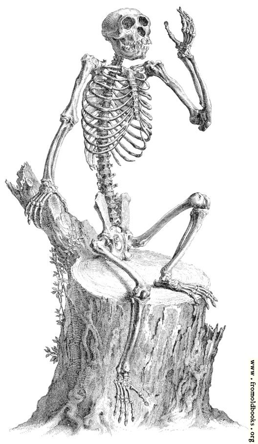 [Picture: Skeleton sitting on a tree stump and waving, from 18th century engraving]