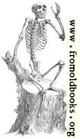 [picture: Skeleton sitting on a tree stump and waving, from 18th century engraving]
