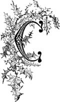[Picture: Decorated Initial letter C with holly]