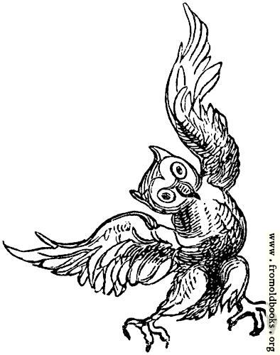 [Picture: owl from full-page border]