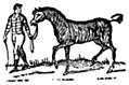 [Picture: 145.—Leading a Horse]