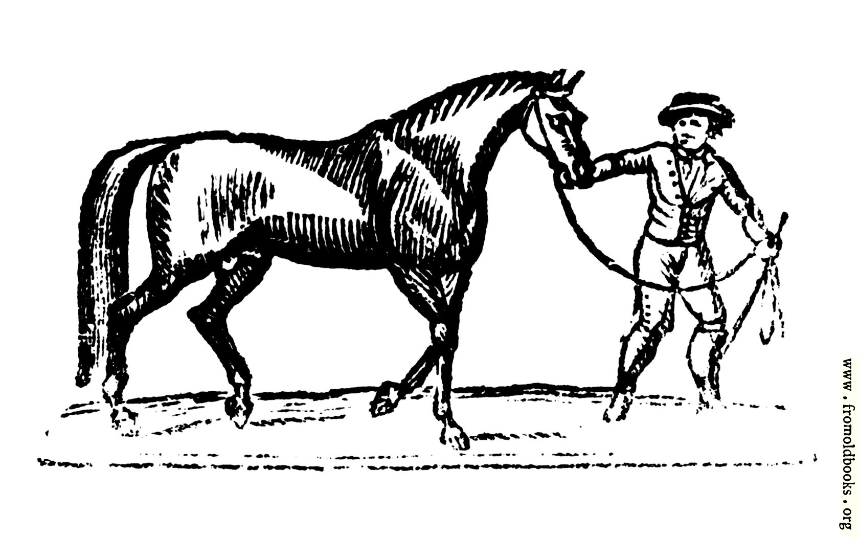 horse trainer clipart - photo #10