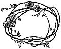 Border of Roses and Thorns