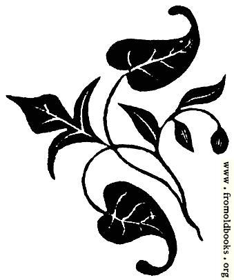 [Picture: 53.10.—Ornamental vine leaves]