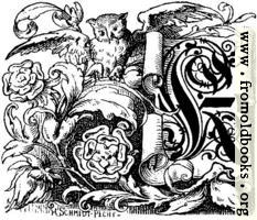 Decorative initial “K” on scroll with owl and roses