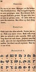 [Picture: Page 48: Cornish; Croatian; Dalmation]