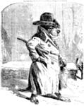 [Picture: The Counsel (a Scotch Terrier)]