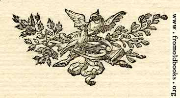 Printer’s ornament with birds